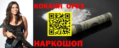 бошки Кингисепп