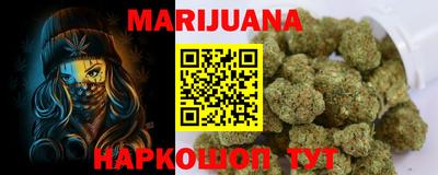 бошки Кингисепп
