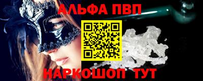 бошки Кингисепп