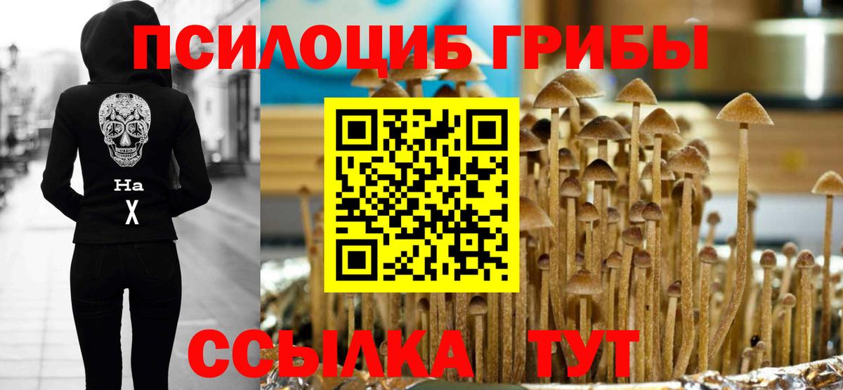 Псилоцибиновые грибы мицелий  Вход с VPN  Усть-Илимск 